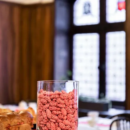 里昂美憬阁卡尔顿酒店 4* 里昂